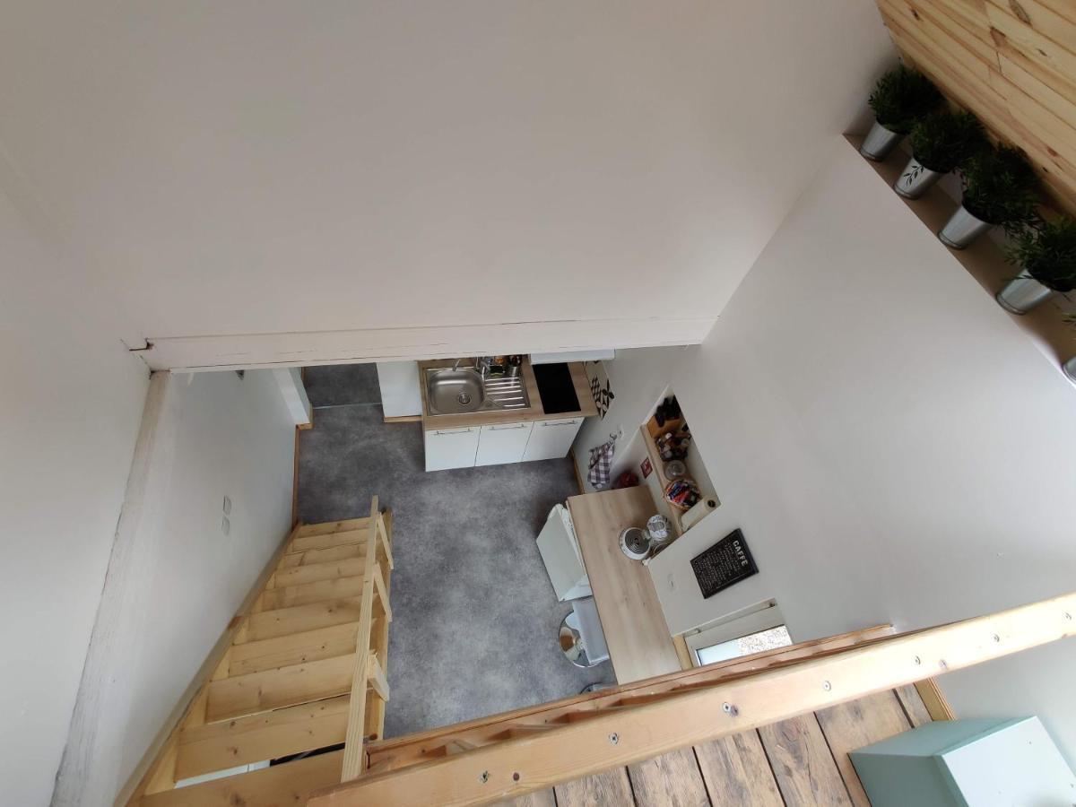Studio Mezzanine Chez Papou, Ville Et Foret Straßburg Exterior foto
